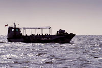 Hunstanton Boat Trip