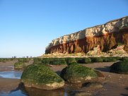 Hunstanton cliffs showing rock pools on the beach below